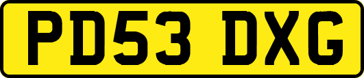 PD53DXG