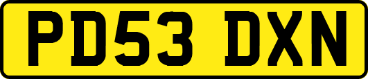 PD53DXN