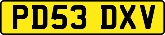 PD53DXV