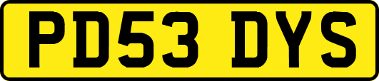 PD53DYS