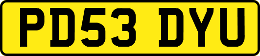 PD53DYU
