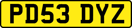 PD53DYZ