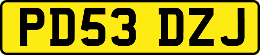 PD53DZJ