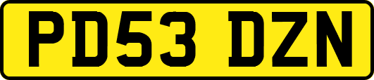 PD53DZN