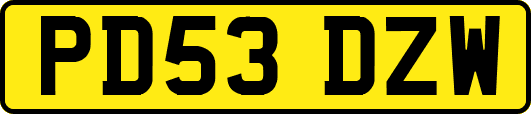 PD53DZW