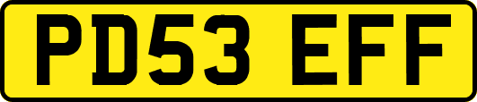 PD53EFF