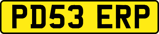 PD53ERP