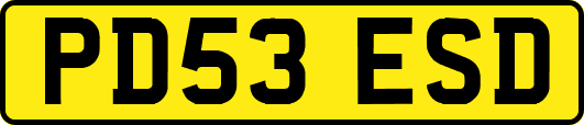 PD53ESD