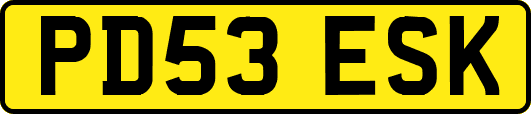 PD53ESK