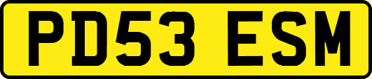 PD53ESM