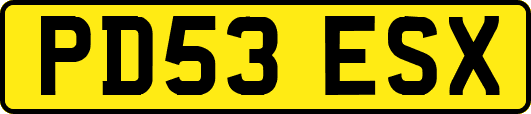 PD53ESX