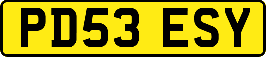PD53ESY