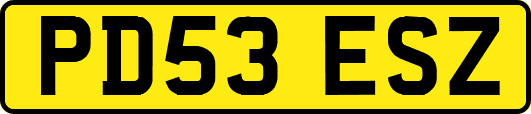 PD53ESZ