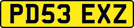 PD53EXZ