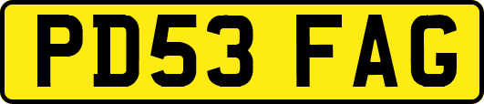 PD53FAG
