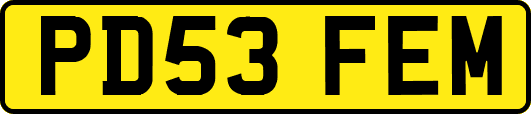 PD53FEM