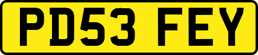 PD53FEY