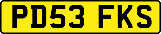 PD53FKS