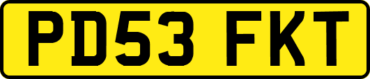PD53FKT