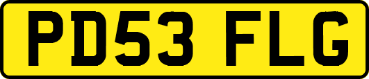 PD53FLG