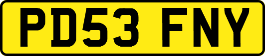 PD53FNY