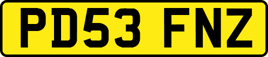 PD53FNZ