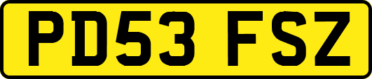 PD53FSZ