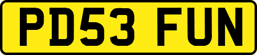 PD53FUN