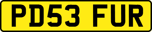 PD53FUR