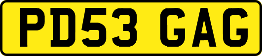 PD53GAG