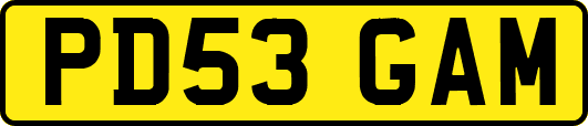 PD53GAM