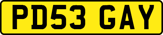 PD53GAY