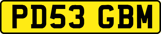 PD53GBM