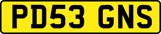 PD53GNS