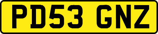 PD53GNZ