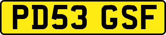 PD53GSF