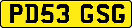 PD53GSG