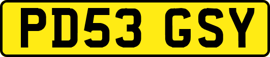 PD53GSY
