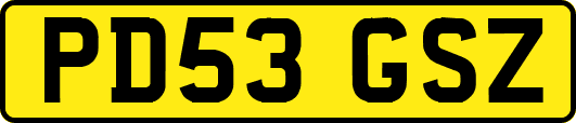 PD53GSZ