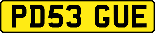 PD53GUE