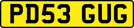 PD53GUG