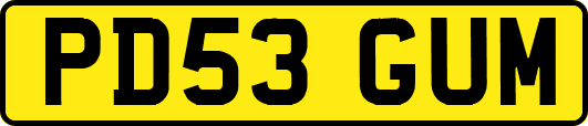 PD53GUM
