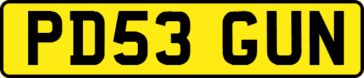 PD53GUN
