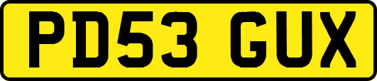 PD53GUX