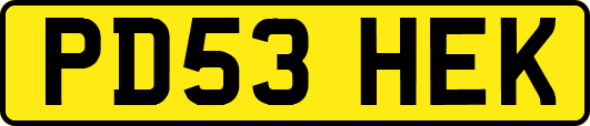 PD53HEK