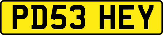 PD53HEY