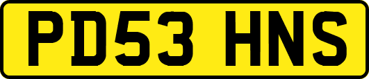 PD53HNS