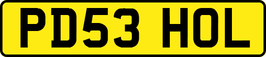 PD53HOL
