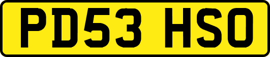 PD53HSO