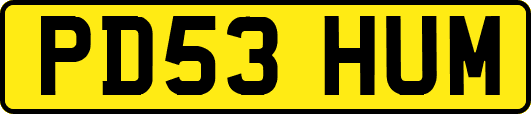 PD53HUM
